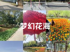 -上海鲜花港