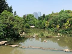 -云溪植物园