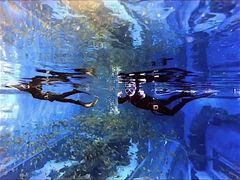 -成都浩海立方海洋公园