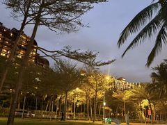 -三亚湾海居雅高铂尔曼度假酒店