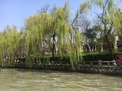 -运河游船(武林门码头)