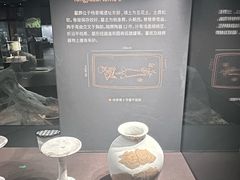 -盘龙城国家考古遗址公园