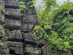 -梭布垭石林景区