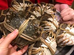 -王宝和酒家(黄浦店)