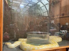 -上海昆虫博物馆