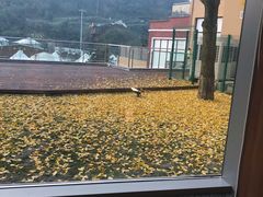 -重庆南山海昌汤都