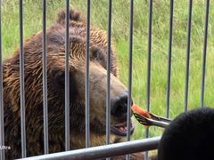 -鄂尔多斯野生动物园