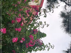 -八大关-近代建筑
