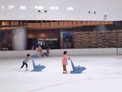-TheRink大零溜冰场(IFS国金中心店)