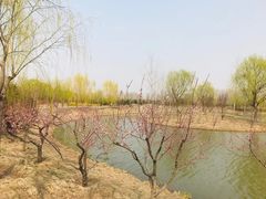 -东郊湿地公园