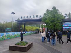 -黄海国家森林公园