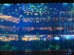 -成都浩海立方海洋公园