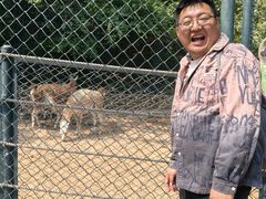 -大连森林动物园