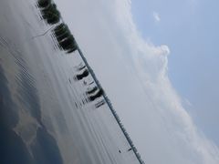 -白洋淀景区
