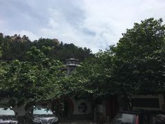 -老张烤羊(王哥庄店)