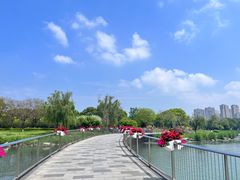 -金鸡湖景区