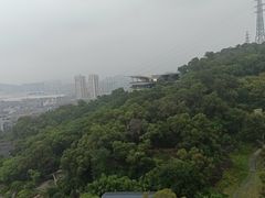 -金鸡山公园