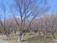 -长春公园(普阳街道)