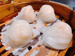 -满福隆酒楼(万绿园店)