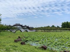 -上海海湾国家森林公园