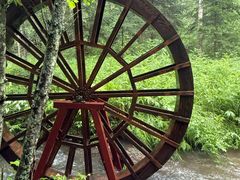 -五营红松林海景区