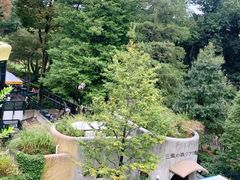 -三鹰之森吉卜力美术馆