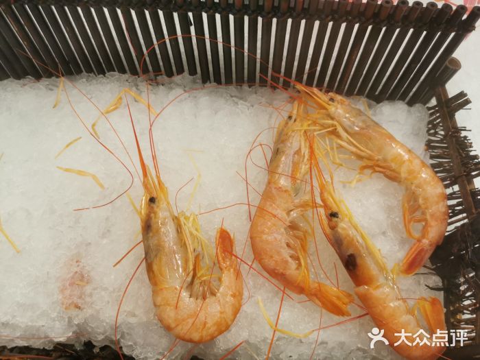 金环海鲜自助(大坪时代天街店)基围虾图片