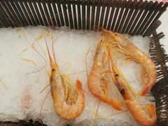 基围虾-金环海鲜自助(大坪时代天街店)