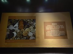 -南越王博物院(王宫展区)
