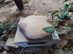 -中国第四纪冰川遗迹陈列馆