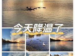 -什刹海