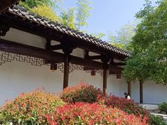 -绳金塔