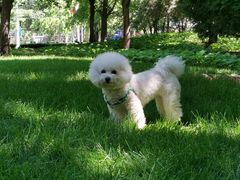 -乐琪宠物(青塔西路店)