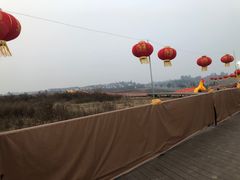 -空港花田景区