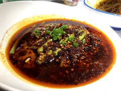 -雲蜀龙阁·金牌水煮鱼(方庄店)