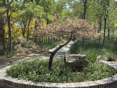 -天津东丽湖风景区