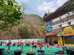 -西双版纳原始森林公园