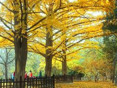 -晋祠公园