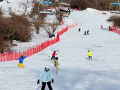 -太子岭滑雪场