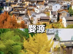 -婺源风景区