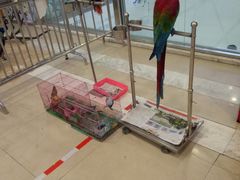 -保利MALL(天鹅湖店)