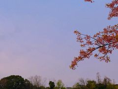 -新江湾城公园