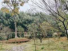 -张公山寨景区
