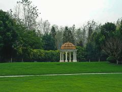 -合肥滨湖国家森林公园