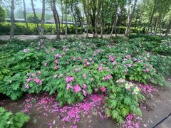 -洛阳市隋唐城遗址植物园