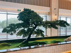 -上海佘山世茂艾美酒店