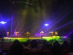 -灵玲国际马戏城