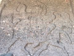 -磬锤峰森林公园