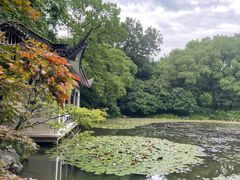 -杭州植物园