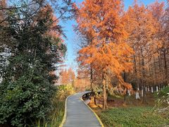 -幕燕滨江·长江观音景区
